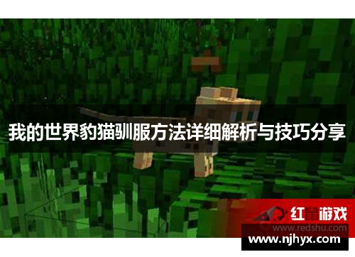 我的世界豹猫驯服方法详细解析与技巧分享